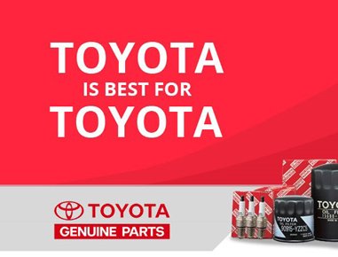 Lorem Ipsum is simply dummy text of the printing and typesetting ndustry. 